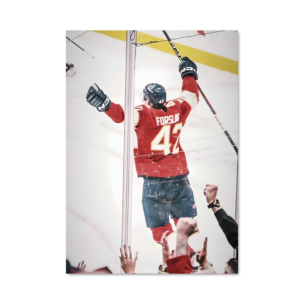 Poster Victoire des Panthers